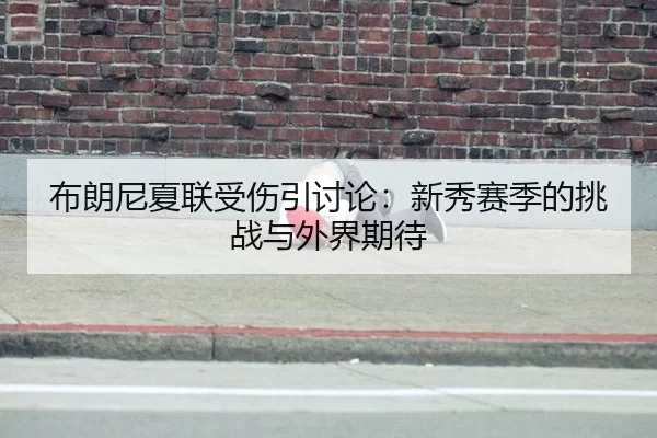 bu-lang-ni-xia-lian-shou-shang-yin-tao-lun-xin-xiu-sai-ji-de-tiao-zhan-yu-wai-jie-qi-dai-2-231.jpg