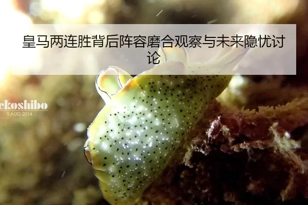 huang-ma-liang-lian-sheng-bei-hou-zhen-rong-mo-he-guan-cha-yu-wei-lai-yin-you-tao-lun-2-573.jpg
